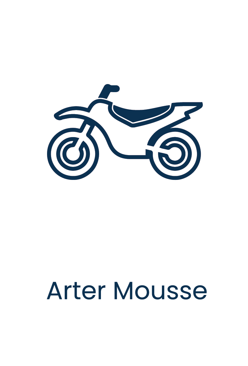 Arter Mousse